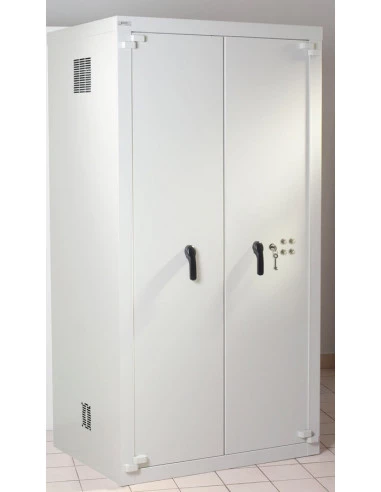armoire-de-securite-Armoire Forte Acial Serenity® 2 Portes Série C95s4-1