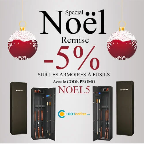 noel-armoires-a-fusils